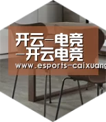 开云电竞官网以专业化产品制胜