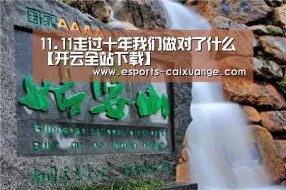 11.11走过十年我们做对了什么【开云全站下载】(图3) 开云电竞官网