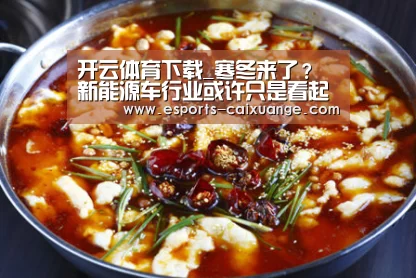 开云体育下载_寒冬来了？新能源车行业或许只是看起来冷
