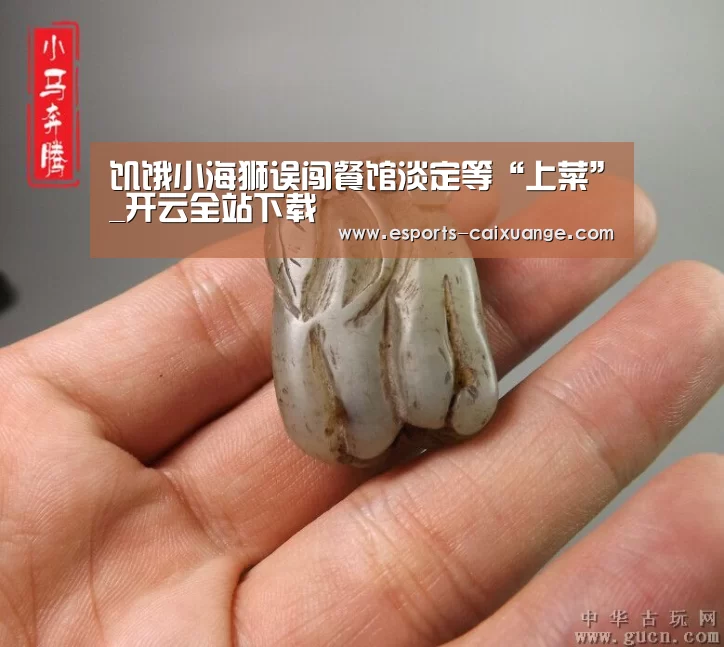 饥饿小海狮误闯餐馆淡定等“上菜”_开云全站下载