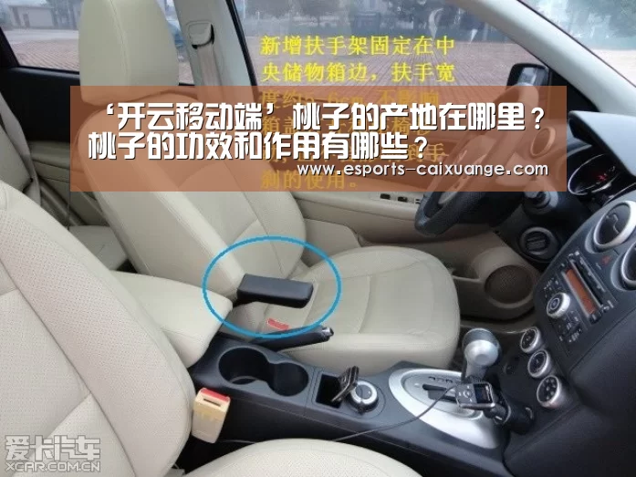 ‘开云移动端’桃子的产地在哪里？桃子的功效和作用有哪些？