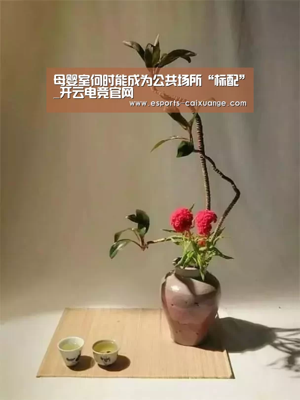 母婴室何时能成为公共场所“标配”_开云电竞官网(图3) 开云电竞官网