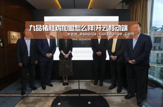 开云全站下载