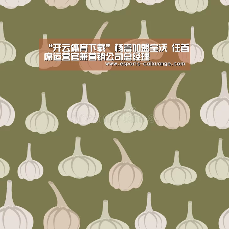 “开云体育下载”杨嵩加盟宝沃 任首席运营官兼营销公司总经理