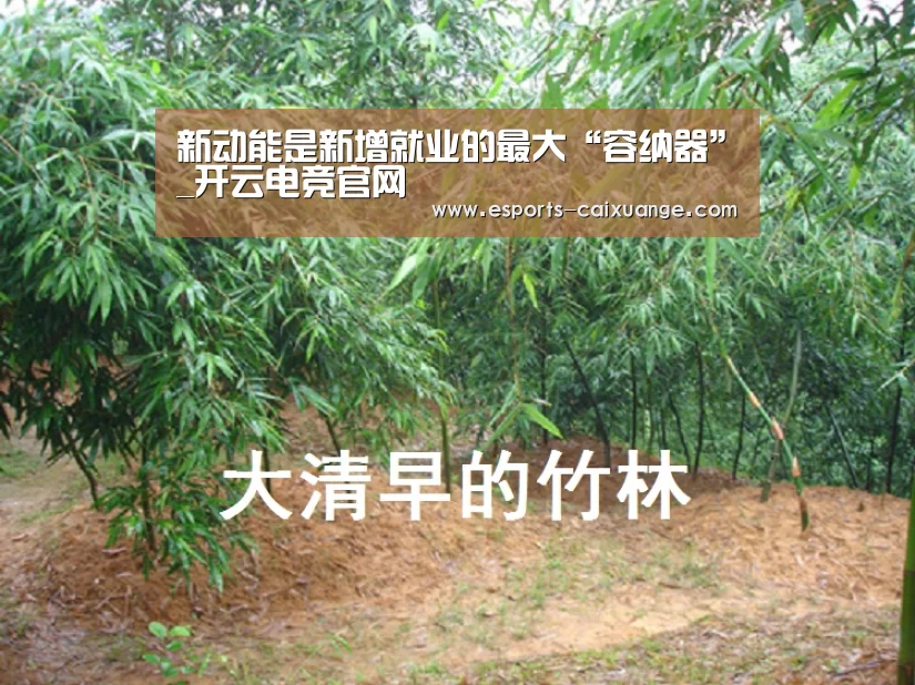 新动能是新增就业的最大“容纳器”_开云电竞官网