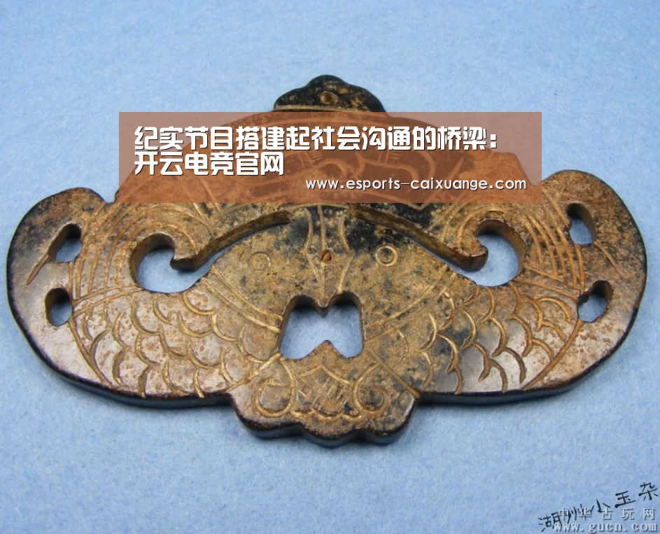 纪实节目搭建起社会沟通的桥梁:开云电竞官网(图2) 开云全站下载