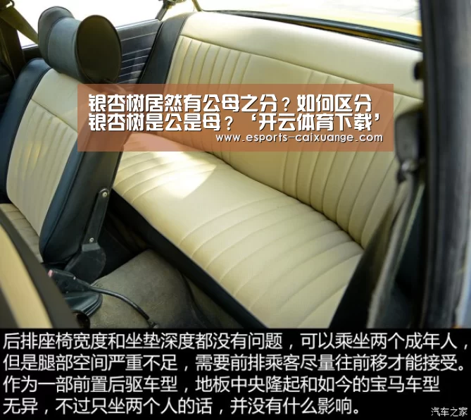 银杏树居然有公母之分?如何区分银杏树是公是母?‘开云体育下载’(图1) 开云移动端