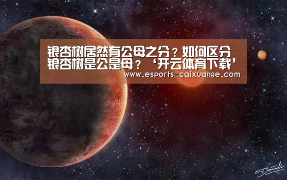 银杏树居然有公母之分?如何区分银杏树是公是母?‘开云体育下载’(图2) 开云移动端